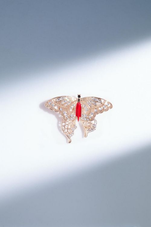 Butterfly design brooch