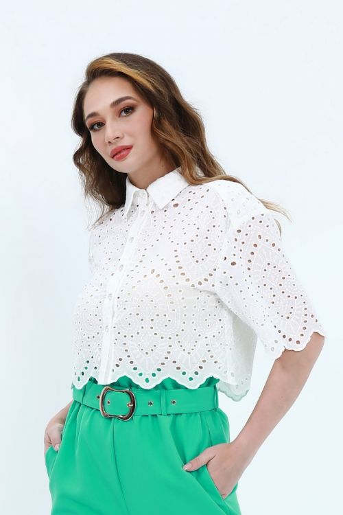 Embroidered cropped top
