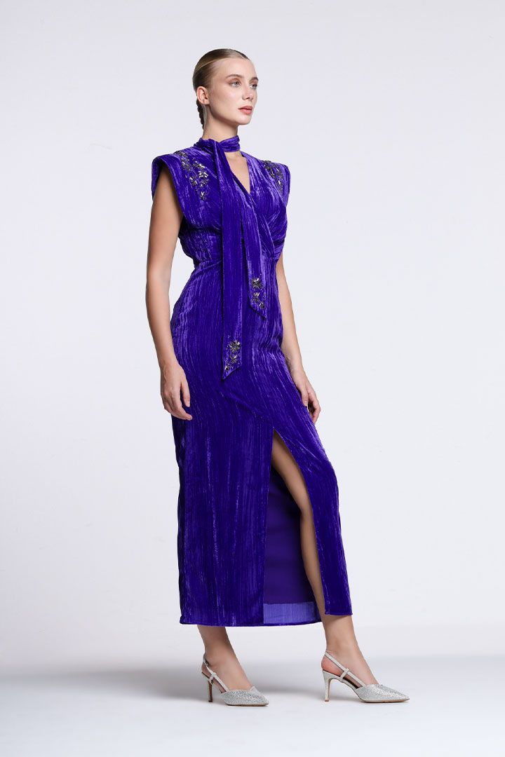 Embellished velvet dress