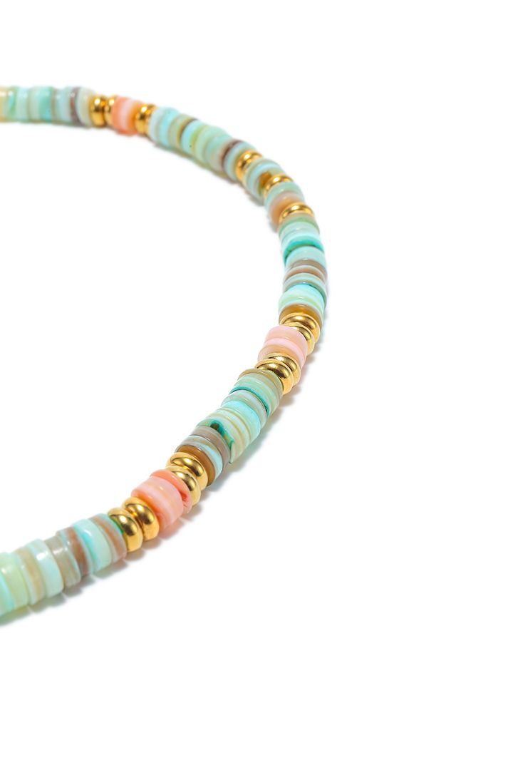 Multi color shell necklace