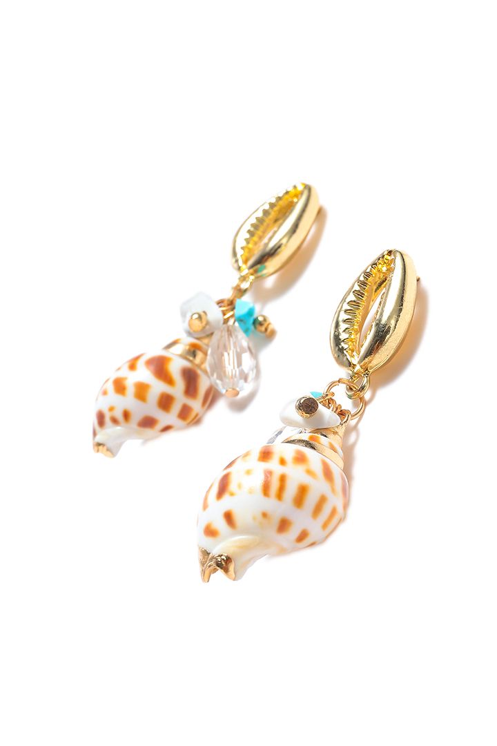 Shell shape earrings