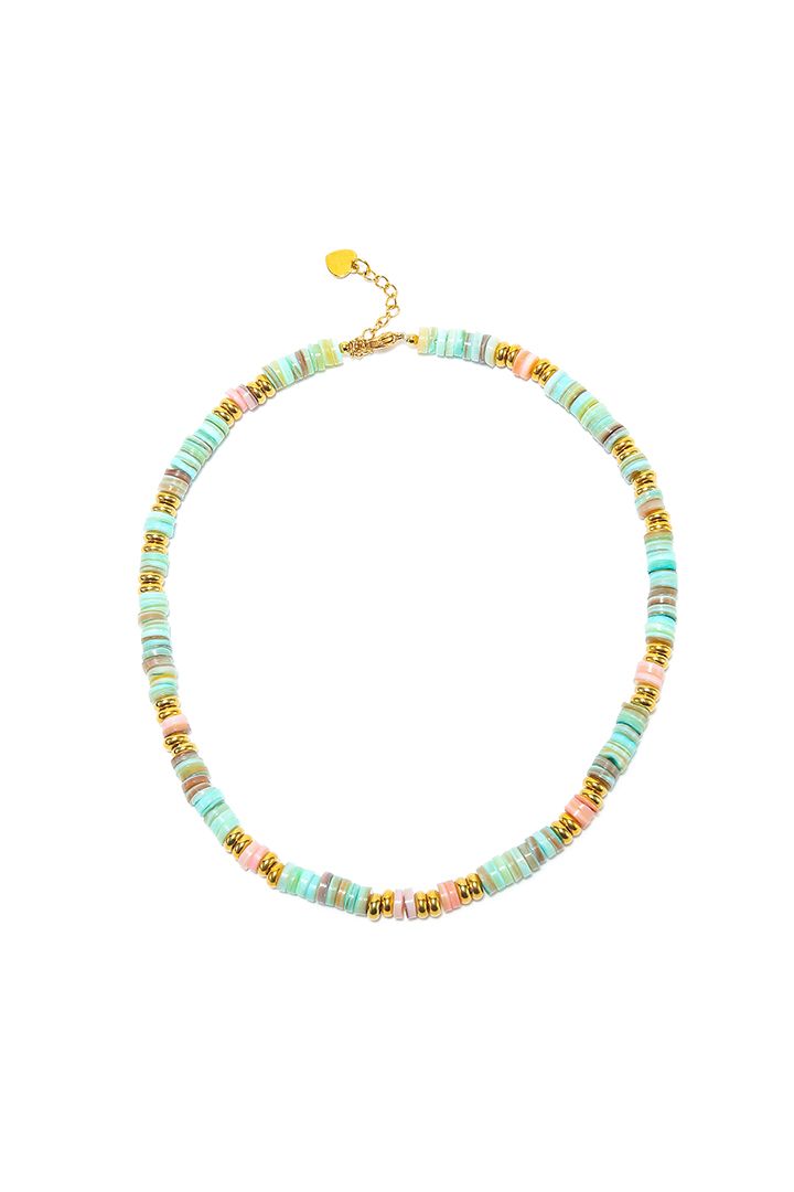 Multi color shell necklace